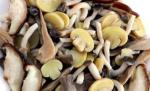 IQF Frozen Mixed Mushroon, blanched