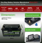 12V 100AH Deep Cycle Lifepo4 Battery With Blutooth / LCD Support Custom