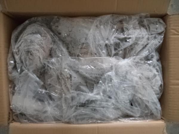 Frozen Tilapia Whole Round Grade A size 300-500