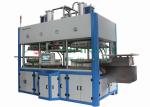 Tableware Thermoforming Pulp Moulded Products Pulp Molding Production Line