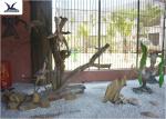 Sunproof Life Size Model Dinosaurs Large And Professional For Children Park