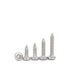 Black Oxide Finish Torx Round Pan Head Self-Tapping Screws for OEM Customized