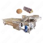 Food Machinery Fruit Vegetable Washing Portable Machine Ningbo