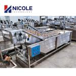Bubble Fruit Vegetable Cleaning Machine Multifunctional Washer Type Customized