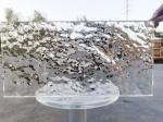 Discover the Best Transparent Acrylic Sheets for Your Business Needs