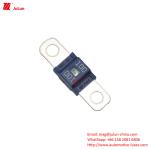 250A300A Electric Vehicle Fuse ANS ANL Safety Nickel Plated Small Fork Bolt Low