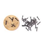 Carbon Material Small Screw for Timepiece High Precision Small Screw Customized
