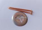3x65mm Insulation Fastener CD Weld Stud Pins With Copper Coated