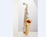 Rollins Saxophone Alto sax Sterling silver body RSA-X9 Cheverny Series Alto