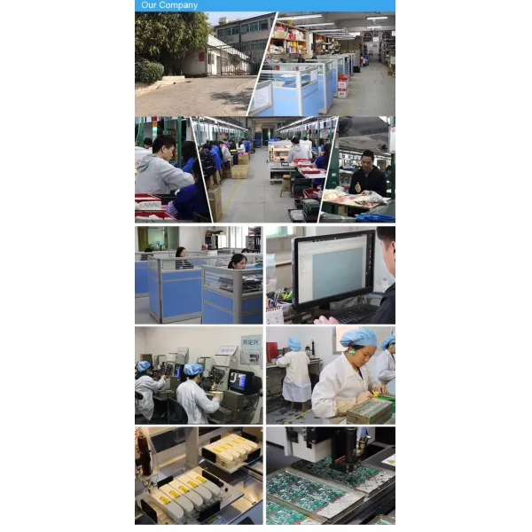 Tung Wing Electronic company facilities and operations