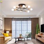 Home LED Nordic Pendant Light Iron Material Art Baking Paint