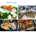 15 Tons Commercial Automatic Flake Ice Machine Fresh Water