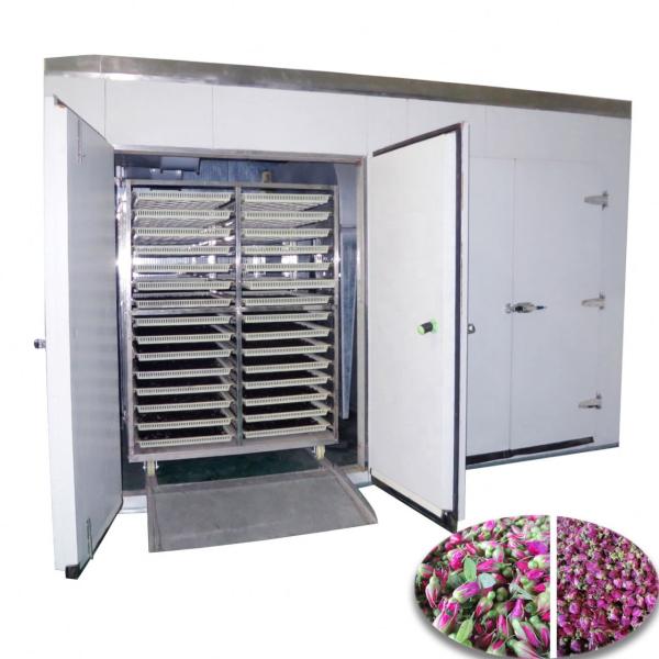 Large Capacity Pharmaceutical Dryer Dried Rose Dehydrator Machine Hot Air