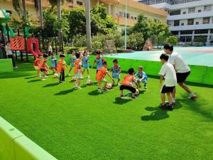 Wholesale Realistic Artificial Grass Turf For Garden With Drainage Holes from china suppliers