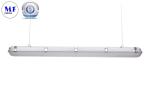 IP66 Waterproof LED Triproof Light Warranty 5 Years IK08 3000K 6000K with
