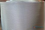 80×350(OPI) Plain Dutch Mesh Cloth With High Temperature Resistance
