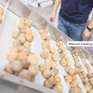 Wholesale 380V 2 Tons Output CE Certified Walnut Shelling Machine With 1 Year Warranty from china suppliers