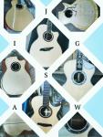 Grand K55h 12 Strings Jumbo Koa Wood Acoustic Guitar with Fishman Electronic