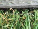 140 Stitches/M Football Artificial Turf 60mm Fake Grass For Sports WIth 12000