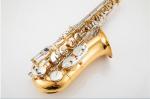 Minsine Blue Of Silver With Nickel Plated Brass Alto Instrument Accessories