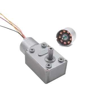 Wholesale Faradyi Customized Robot Dc Brushless 12v Worm Gear Speed Reduction Motor Worm Rc Brushless Drone Motor from china suppliers