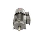 YVF2 Series Frequency Controlled 3 Phase Asynchronous Motor IP55 380V Rated