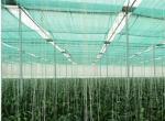 Agriculture Frame Mesh Harvest Bags / Mesh Vegetable Storage Bags