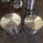 Customized Support OEM NXF Blind Flanges Alloy B-2 / UNS N10665 / W.Nr. 2.4617