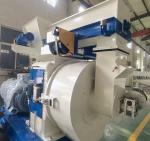 Vietnam Ring Die Tapioca Pellet Mill Machine Manufacture 5t/h