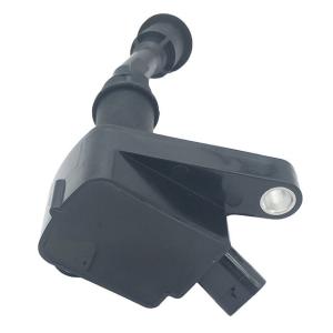 Wholesale Hot Sale Low MOQ Car Ignition Coil DS7G-12A366-BB For Ford from china suppliers