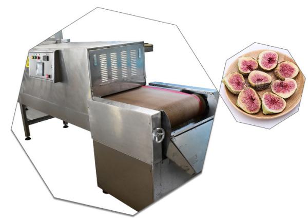 Speed Adjustable Fig Conveyor Belt Microwave Sterilization Machine 1 Year Life