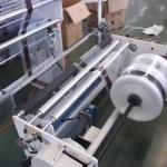 Polypropylene LDPE LLDPE Blown Film Plant Monolayer Blown Film Machine