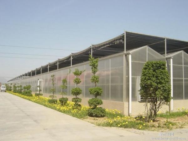 No Welded PC Sheet Greenhouse Galvanized Steel Skeleton Various Sheet Colors