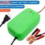 Popular model 12V 6A 12V 5A 8A 10A 12A 20A Motorcycle Car Pulse Repair Lead acid