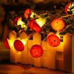 Mushroom String Lights Battery Powered LED Fairy Decorative Lights for Bedroom
