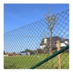 Low Carbon Steel Wire Chain Link Fencing in Modern Stylish Style with PVC