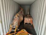 20 Ton 50T Excavator Rock Ripper Breaks Rock Up To 30 Mpa Hardness