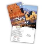 PLASTIC LENTICULAR cheap price 3D postcards 3D animal post cards with lenticular