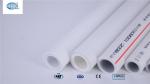 Customized White Polypropylene Pipe PPR Water Supply Pipe