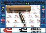 fuel injector 2872405 2894920 5579415