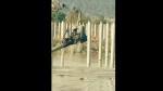 River Excavator Mounted Pile Driver