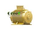 Free Energy Electric Permanent Magnet Generator SKF Bearing 5kw 220v