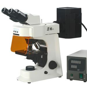 Wholesale Fluorescence Microscope from china suppliers