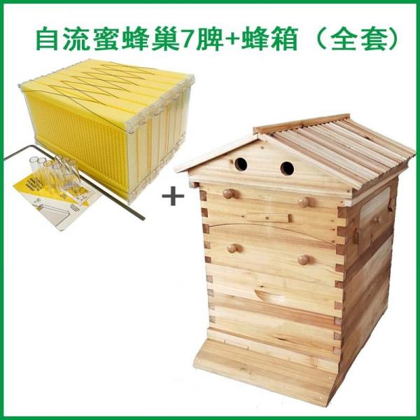 Quality Chinese Wax-Coated Cedar Wood Automatic Self-Flowing Honey Bee Hive 7 Auto Frames Apiculture Beekeeping Equipment Tool for sale