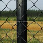 ECO FRIENDLY Perimeter Fence with Modern Stylish Chain Link Fence Covering 5