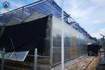 UV Resistant Twin Wall Polycarbonate Greenhouse Modern Farms Greenhouse