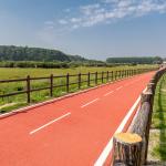 UV Resistance Permeable Sandwich System Running Track Waterproof
