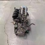 T-oyota 3ZZ 2ZZ 1ZZengine for the Vios Corolla Asiatic Lion is the perfect used