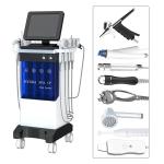 10 In 1 Hydrafacial Cleaning Machine Microdermabrasion Hydra Small Bubble