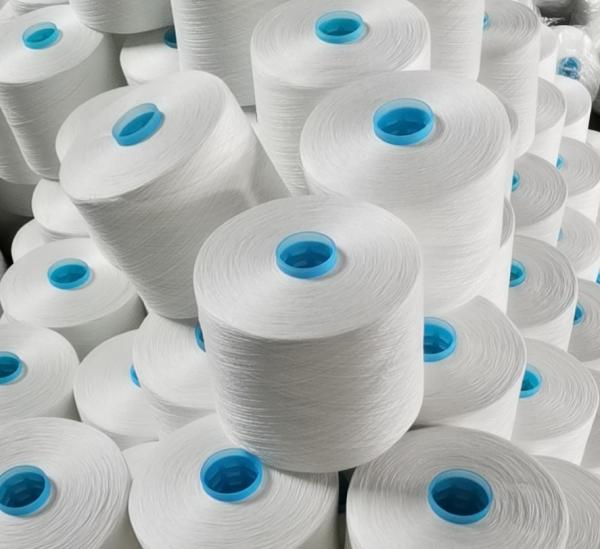 High Quality TFO Recycled Polyester Spun Yarn 40S/3 with GRS Certificate